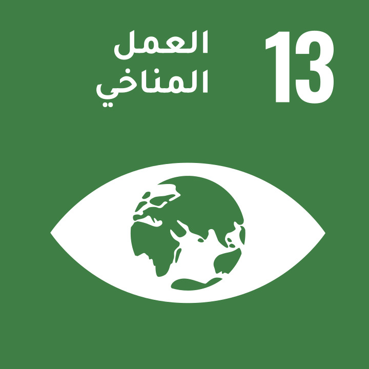 Click to view SDG 13 initiatives