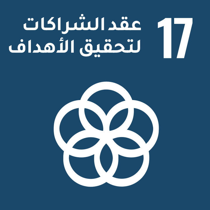 Click to view SDG 17 initiatives
