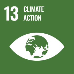 sdg13-en.png